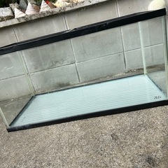 水槽