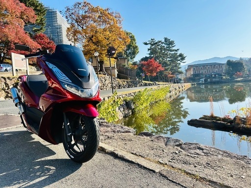 商談中pcx125 jk05 9000キロ (Ks style) 京終のホンダの中古あげます