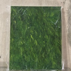 【アート】抽象画グリーン1点限り 
