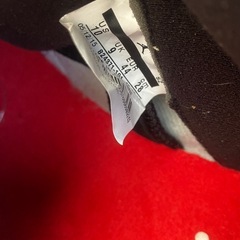 エアジョーダン5supremeコラボ　白28センチの画像