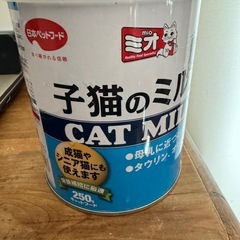 子猫の粉ミルク
