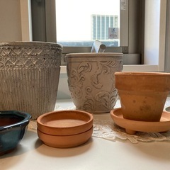 鉢植の画像