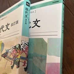 改訂版時セット　現代文の画像