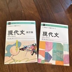 改訂版時セット　現代文の画像