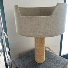 子猫用爪とぎの画像