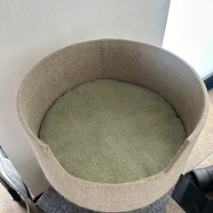 子猫用爪とぎの画像