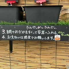 ミックスメダカ　Googleマップに載ってるよの画像