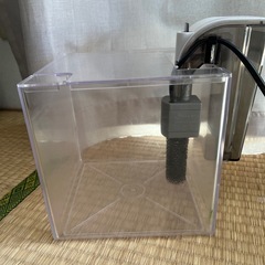 キューブ水槽　小型の画像