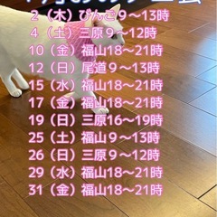 １月おのテニ会（尾道ソフトテニスの会）2025 - 尾道市