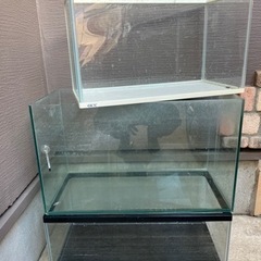 水槽3つ　ジェックス2つ、エーハイム