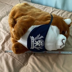 プライズぬいぐるみの画像