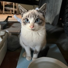 親子でいます