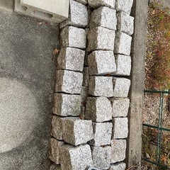 値下げしました　ピンコロ
