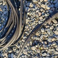 ヘッジトリマー　の画像