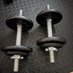 ダンベル(最大9.5kg)2個