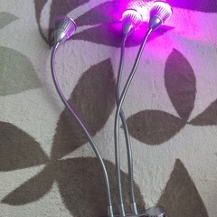 植物育成ライトの画像