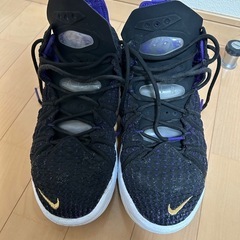 Nike バスケットボールシューズ Lebron18
