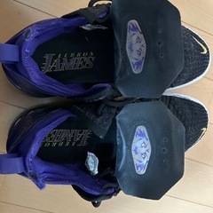 Nike バスケットボールシューズ Lebron18の画像