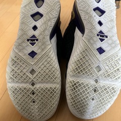 Nike バスケットボールシューズ Lebron18の画像