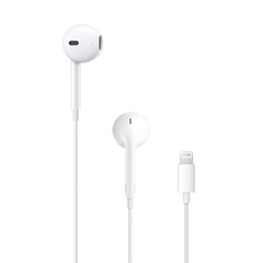 純正　アップル　iphone Lightning ライトニングケ...
