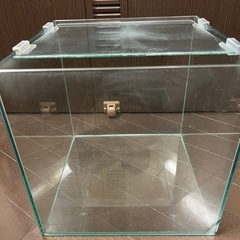 30cmキューブ水槽