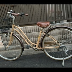予定の方決まりました　かわいい自転車