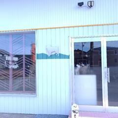トリミングサロンのお客様募集中 - 春日井市