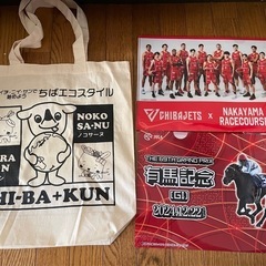 エコバッグ ファイル 千葉ジェッツ チーバくん