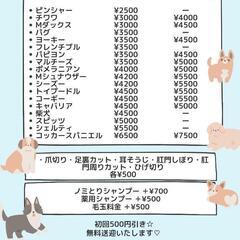 トリミングサロンのお客様募集中 − 愛知県