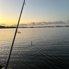 釣り友達募集！