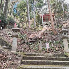 神様に呼ばれた人しかいけない神社（初詣） - 津山市