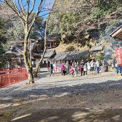 伝説の初詣
