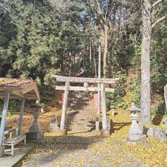 伝説の初詣 - その他