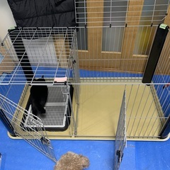 犬用ゲージ