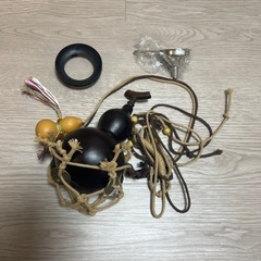 本物の瓢箪