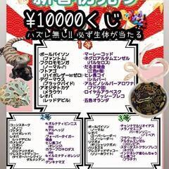 必ず生体が当たる‼️新春初売り『一萬円くじ』