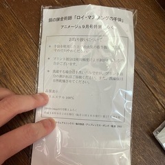 ★9/9まで購入可能 ロイマスタング　鋼の錬金術 の画像