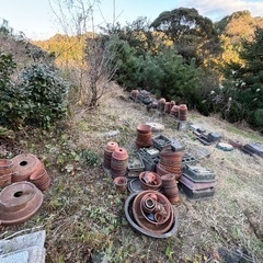 盆栽鉢⭐︎全て引き取って下さる方限定⭐︎