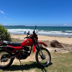 期間限定値下げ　レア Honda xl125r 125cc ヴィ...