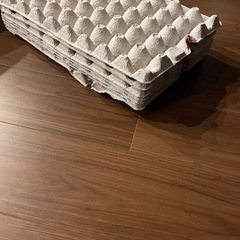卵パック   コウロギの寝床