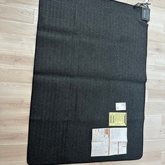 無印良品ホットカーペット（1.5畳）