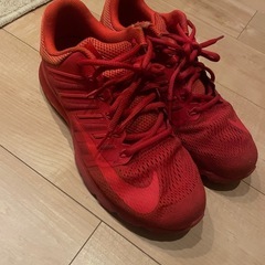 NIKE AIR MAX の画像