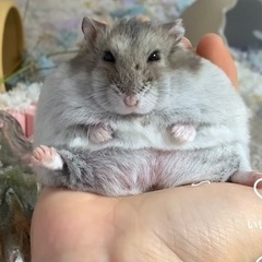 友達欲しい！