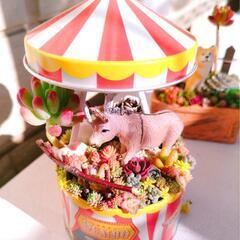 多肉植物の寄せ植えの画像