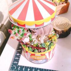 多肉植物の寄せ植えの画像