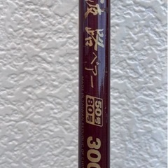 ダイワ　波路ペアー　50／80号