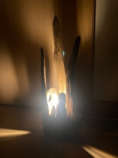 流木ランプ　流木