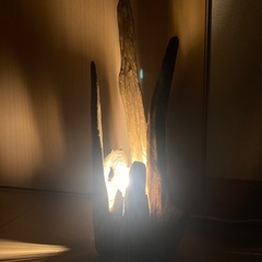 流木ランプ　流木