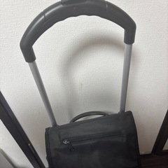 買い物キャリーバッグの画像