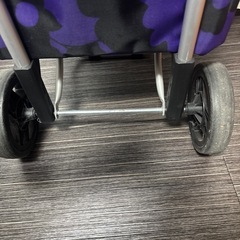買い物キャリーバッグの画像